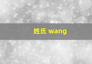 姓氏 wang